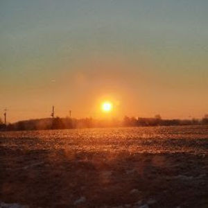 Meet your Posher, Alana